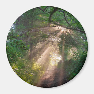 Íman Caminho da Floresta