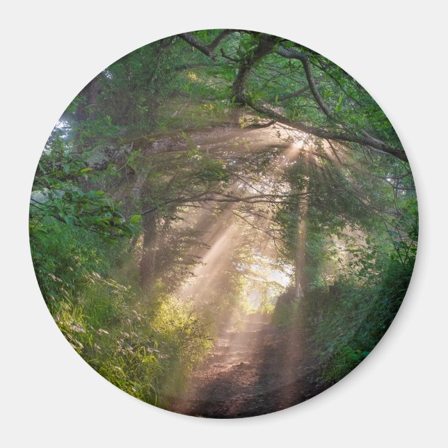 Íman Caminho da Floresta (Frente)