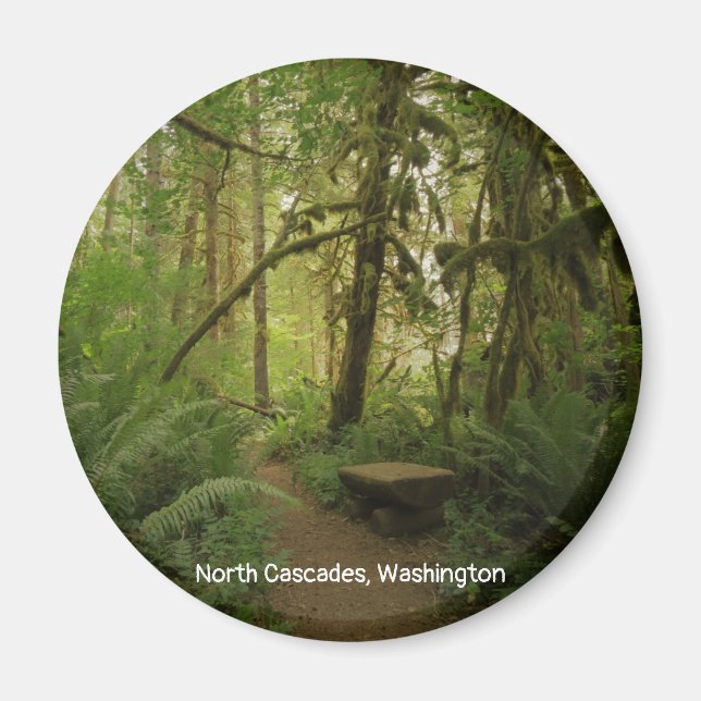 Íman Caminho da Floresta Verde Pacífica em Washington (Frente)