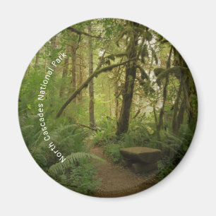 Íman Caminho da Floresta Verde Pacífica em Washington