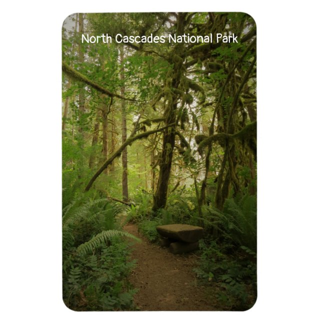 Íman Caminho das Florestas em North Cascades (Vertical)