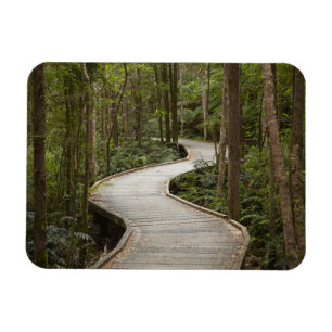 Íman Caminho de barco para Nelson Falls, Franklin - Gor