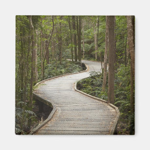 Íman Caminho de barco para Nelson Falls, Franklin - Gor