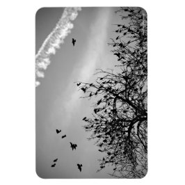 Íman Caminho de Voo