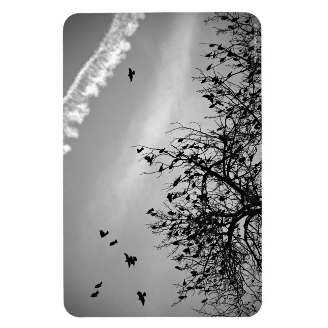 Íman Caminho de Voo (Vertical)