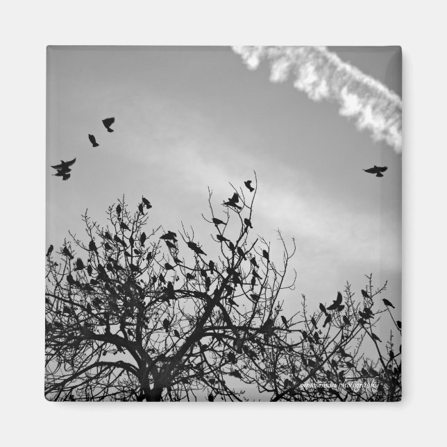 Íman Caminho de Voo (Frente)