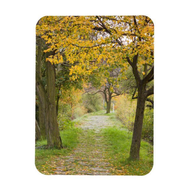 Íman Caminho no Outono (Vertical)