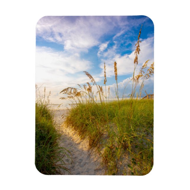 Íman Caminho para a praia (Vertical)