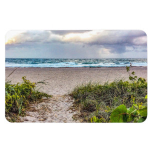 Íman Caminho para o Oceano