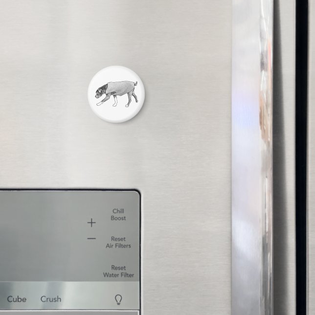 Íman Caminhos Familiares Recordados (In Situ (Fridge))