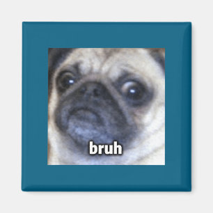 Íman Camisa Engraçada Bruh Pug Face de Cachorro Embaçad