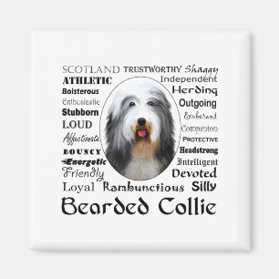 Íman Camiseta Bearded Collie