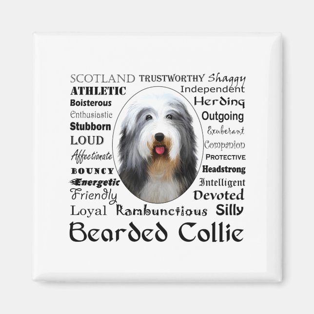 Íman Camiseta Bearded Collie  (Frente)