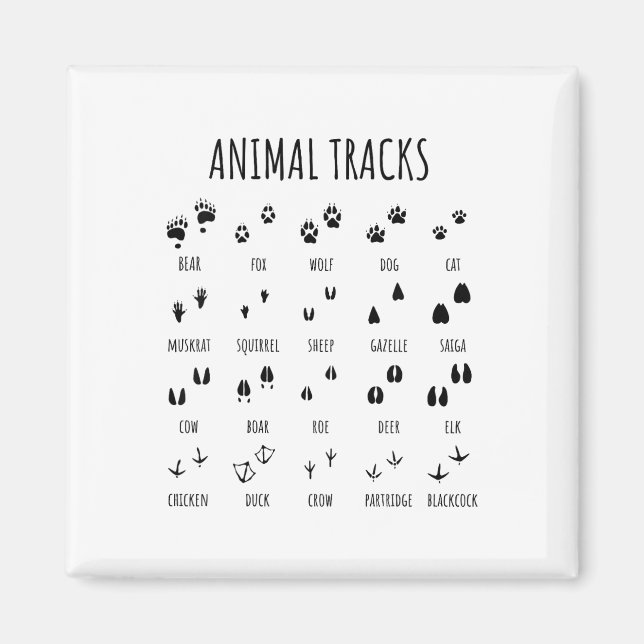 Íman Camiseta de rastros de animais exploradores da nat (Frente)
