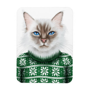 Íman Camisola do gato do gatinho