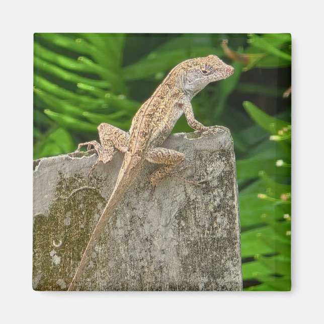 Íman Camouflage Master (Frente)