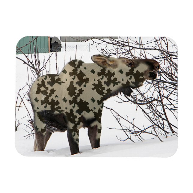 Íman Camouflage Moose (Horizontal)
