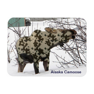 Íman Camouflage Moose (Camoose)