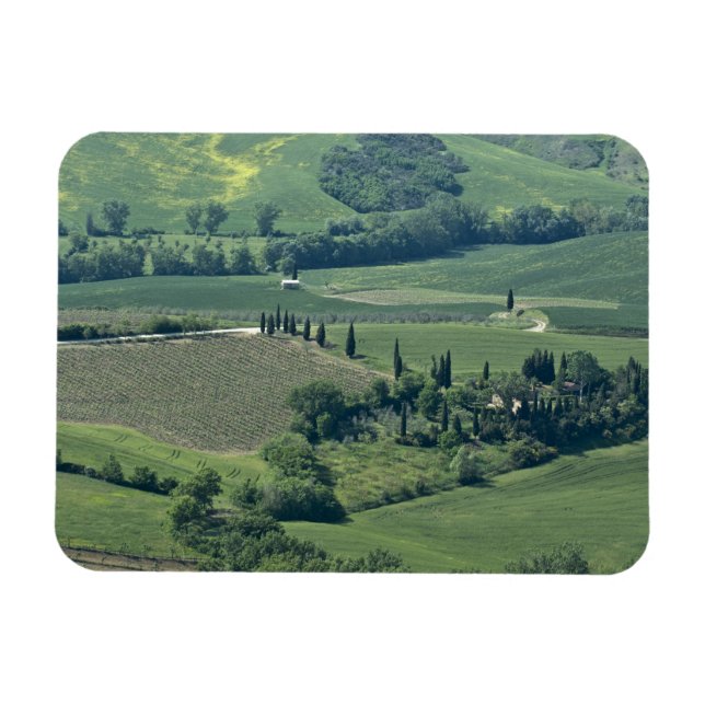 Íman Campestre perto de Montepulciano, Val d'Orcia, (Horizontal)