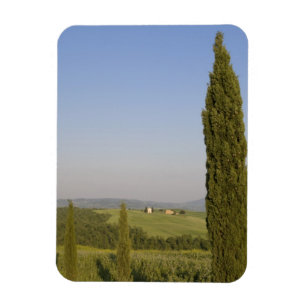 Íman Campestre perto de Pienza. Val d'Orcia, Siena