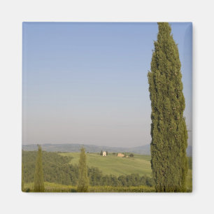 Íman Campestre perto de Pienza. Val d'Orcia, Siena