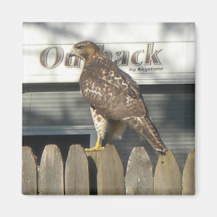 Íman Camping Hawk