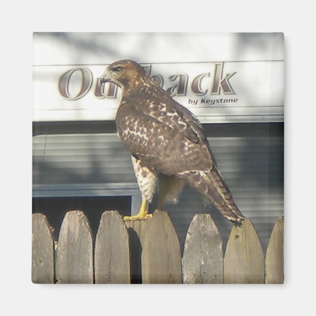 Íman Camping Hawk (Frente)