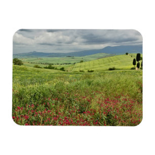 Íman Campo agrícola, região da Toscana, Itália.