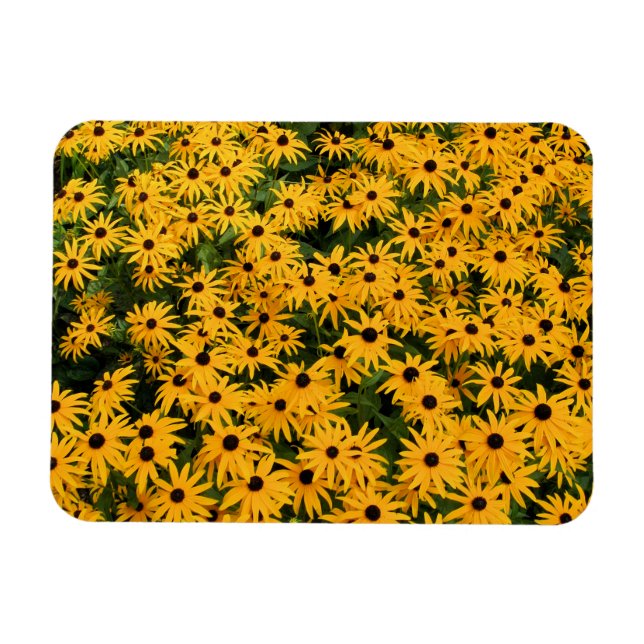 Íman Campo Amarelo de Visitas - Flor - Magnet (Horizontal)