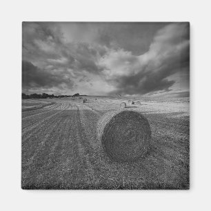 Íman Campo da cevada de B&W
