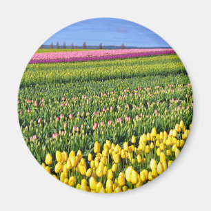 Íman Campo das tulipas do primavera