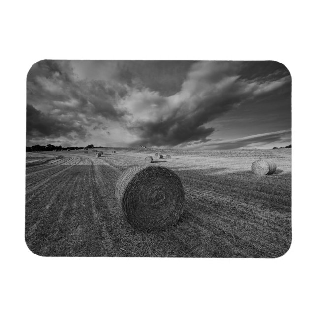 Íman Campo de &Cevada B&W (Horizontal)