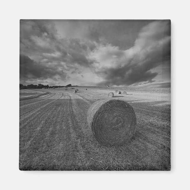 Íman Campo de &Cevada B&W (Frente)