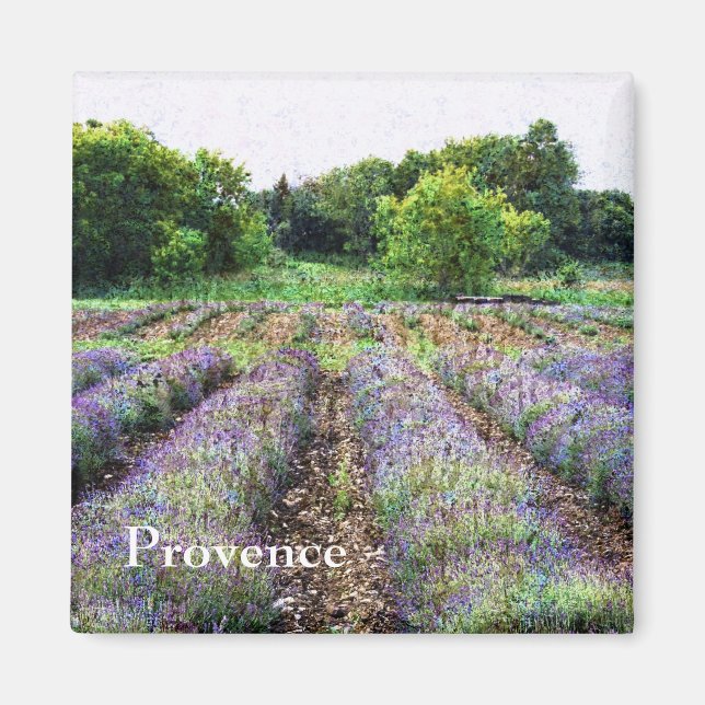 Íman Campo de fazenda de lavanda - Proveniência (Frente)
