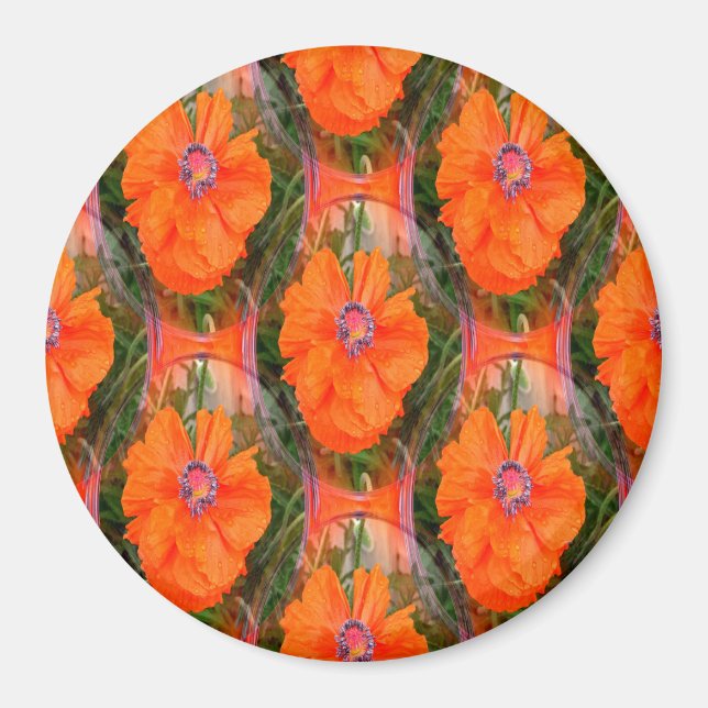 Íman Campo de papoila chinês... (Frente)