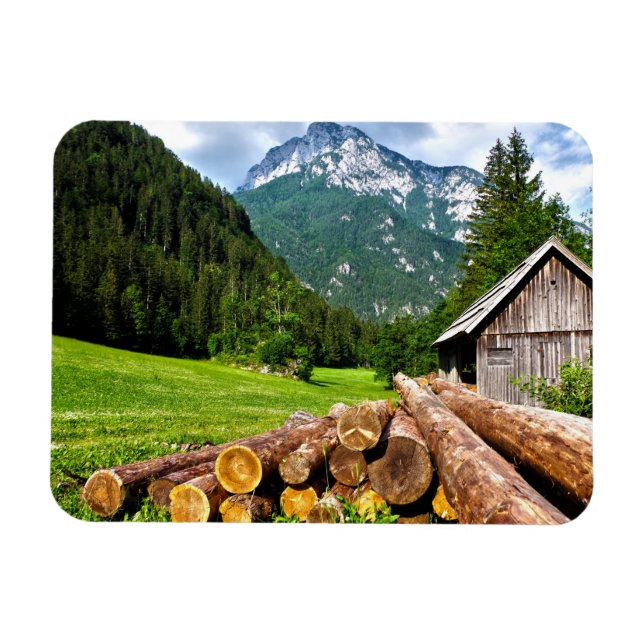 Íman Campo de registro na floresta com montanhas (Horizontal)