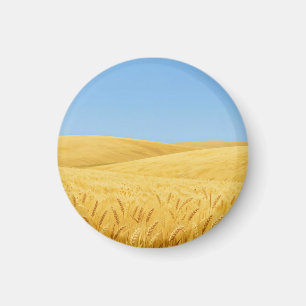 Íman Campo de Trigo Dourado Sob o Céu Azul