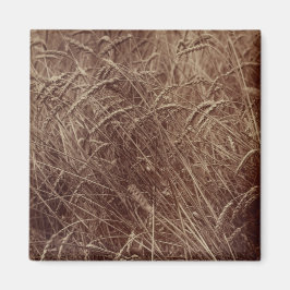 Íman Campo de trigo (por Eugène Atget)