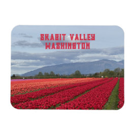 Íman Campo de Tulipas do Vale de Skagit, Estado de Wash