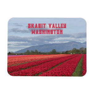 Íman Campo de Tulipas do Vale de Skagit, Estado de Wash
