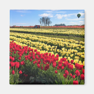 Íman Campo de Tulipas Vermelho e Amarelo com Balão de A