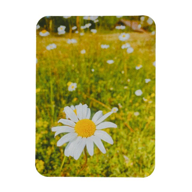 Íman Campo escandinavo de verão florido (Vertical)