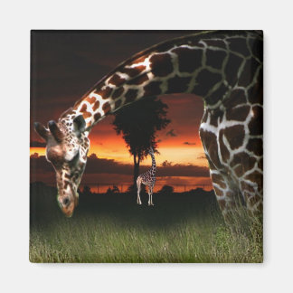 Íman Campo Escolar Africano