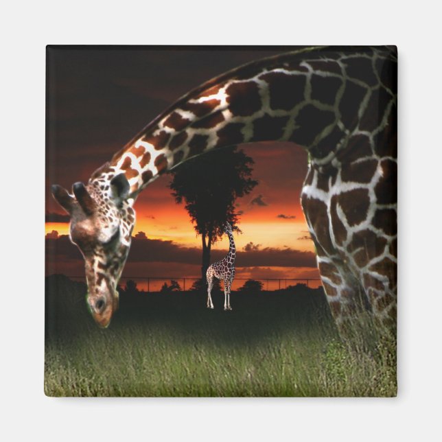 Íman Campo Escolar Africano (Frente)