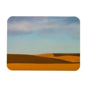Íman Campos de trigo dourados na região de Palouse