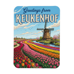 Íman Campos de Tulipas & Moinhos de Vento, Lisse Holand