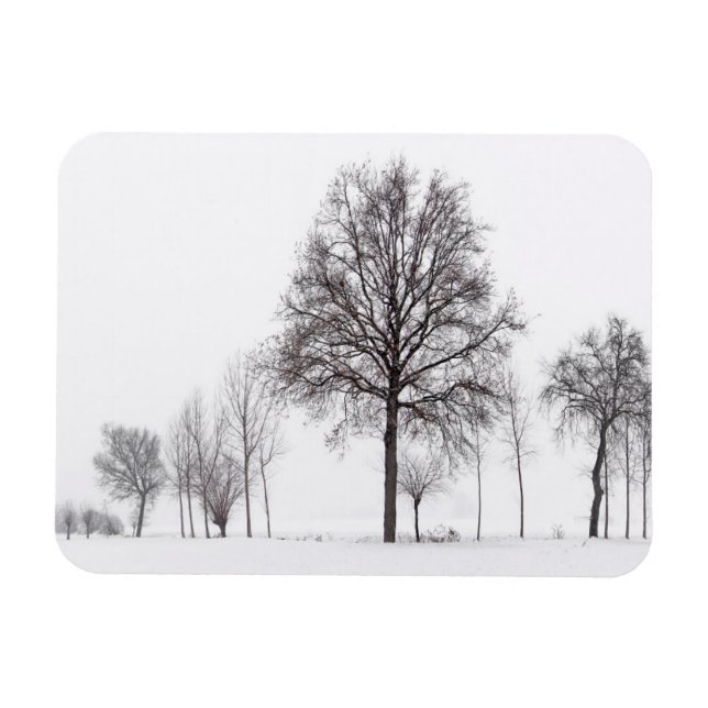 Íman Campos em torno do Scalenghe | Piemonte, Itália (Horizontal)