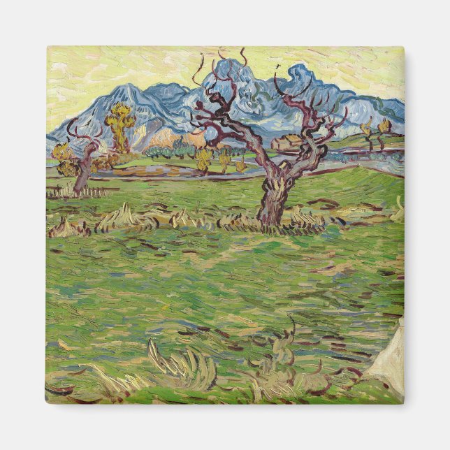 Íman Campos próximos aos Alpilles Vincent van Gogh (Frente)