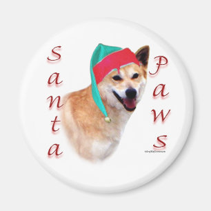 Íman Canaan Dog Papais noeis Paws