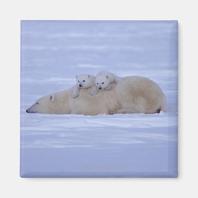 Íman Canadá (Frente)